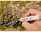 NOCH 0061159 Patina-Marker Grijs, Groen, Walnoot, Crème, Olijf-groen 6 stuk(s)