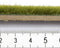 NOCH 07100 Wildgras XL Weide Weide