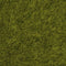 NOCH 07100 Wildgras XL Weide Weide