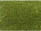 NOCH 07118 Wildgras Groen (gemiddeld)