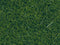 NOCH 07120 Wildgras Donkergroen