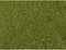 NOCH 07300 Bladeren Bladeren Groen (gemiddeld)