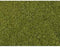NOCH 07300 Bladeren Bladeren Groen (gemiddeld)