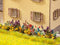 NOCH 14050 H0 bloementuin Lasercut model