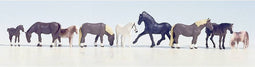 NOCH 15761 H0 Dieren figuren Geverfd, Staand
