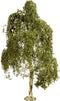 NOCH 20120 Boom Ruwe berk 180 mm 1 stuk(s)