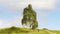 NOCH 20120 Boom Ruwe berk 180 mm 1 stuk(s)