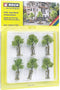 NOCH 21538 Set bomen Jonge boom 40 cm (min) 6 stuk(s)