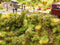 NOCH 23102 Spoordijkbeplanting