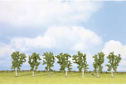 NOCH 25096 Set bomen Berk 100 tot 100 mm Groen 7 stuk(s)