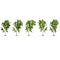 NOCH 25630 Set bomen Berk 100 mm (max) 5 stuk(s)
