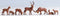 NOCH 36730 N Dieren figuren Geverfd, Staand