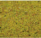 NOCH 50190 Strooigras Zomer weide Groen (gemiddeld)