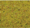 NOCH 50190 Strooigras Zomer weide Groen (gemiddeld)