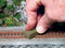 NOCH 60140 Rails Reinigingsblok 1 stuk(s)