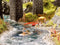 NOCH 60872 Watereffect 125 ml