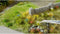 NOCH 6800 Bodembedekkingsset Bloemenweide Rood, Blauw, Geel, Pink, Wit