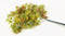 NOCH 6800 Bodembedekkingsset Bloemenweide Rood, Blauw, Geel, Pink, Wit