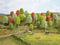 NOCH Hobby 26906 Set bomen Lentebos 50 tot 90 mm 10 stuk(s)