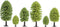 NOCH Hobby 32801 Set bomen Loofboom 35 tot 50 mm 25 stuk(s)