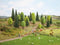 NOCH Hobby 32811 Set bomen Gemengd bos 35 tot 90 mm 25 stuk(s)