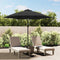 vidaXL - Parasol - met - metalen - paal - 300 - cm - antraciet