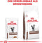 Royal Canin Veterinary Diet Gastro Intestinal Wet - Kattenvoer - 12x85 g