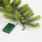 Black Box Trees Nigata Guirlande - LED Verlichting 40 lampjes - L270 cm - Groen