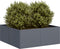 vidaXL - Plantenbak - 80x80x30 - cm - staal - antracietkleurig