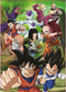 EDUCA - puzzel - 2 x 500 stuks - Dragon Ball