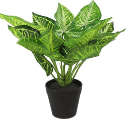 Non-branded Kunstplant Calathea S 25 X 25 Cm Zijde Groen/zwart