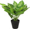 Non-branded Kunstplant Calathea S 25 X 25 Cm Zijde Groen/zwart