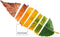 Nordic cover Leaf Pantone UK double bed (220 x 220 cm)