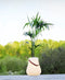 Nordic D'luxx - Bloempot L met Led Multicolour ø 34 cm - Polypropyleen - Wit