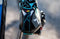 Northwave Verve 2 SRS schoenen Dames grijs/turquoise Schoenmaat 38