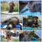 Nosli Zelfkoelende Koelmat voor Honden en Katten 50x90 cm IJsblauw