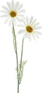 Nova nature - Daisy Cordoba spray white 56 cm kunstbloem