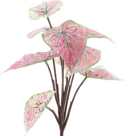 Nova Nature Dieffenbachia plant pink 32 cm