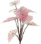 Nova Nature Dieffenbachia plant pink 32 cm