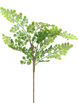 Nova nature - Fern Maiden Hair lvs green 53 cm kunstbloem