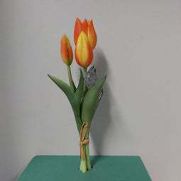 Nova Nature Holland tulp bundel Sally x3 25cm oranje