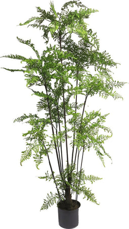 Nova nature - Leather fern tree in pot green 150cm