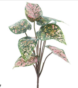 Nova nature - Nova Nature Dieffenbachia plant green/pink 32 cm