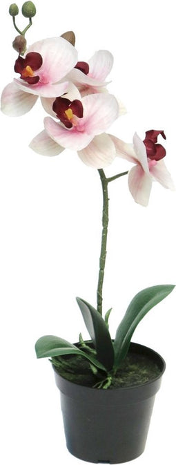 Nova nature - RT Phalaenopsis Bora x1 in pot 35 cm pink kunstbloemen