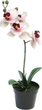 Nova nature - RT Phalaenopsis Bora x1 in pot 35 cm pink kunstbloemen