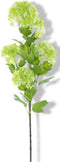Nova Nature - Viburnum flower spray green 88 cm kunstbloemen