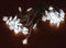 Novastarlight LED - 10 m - 40 sterretjes - wit - transparante kabel - 24 V