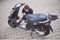 Novus Popnagel pistool N-55 Easy grijs en rood