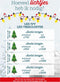 Lumineo Kerstverlichting - cluster - warm wit - timer en dimmer - 10m - binnen en buiten