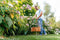 Bosch EasyGrassCut 23 - Grastrimmer - Snoer - 230 V - Snijbreedte 23 cm